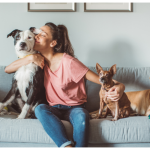 Por que você precisa de um seguro para animais de estimação: os benefícios e as coberturas disponíveis Por que você precisa de um seguro para animais de estimação: os benefícios e as coberturas disponíveis